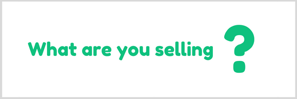 what are you selling with your sales page